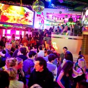 image pacha_flower_party115_cat12_8285a86etr-4-jpg